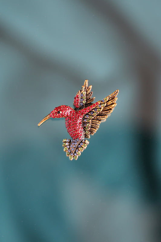 Broche de colibrí